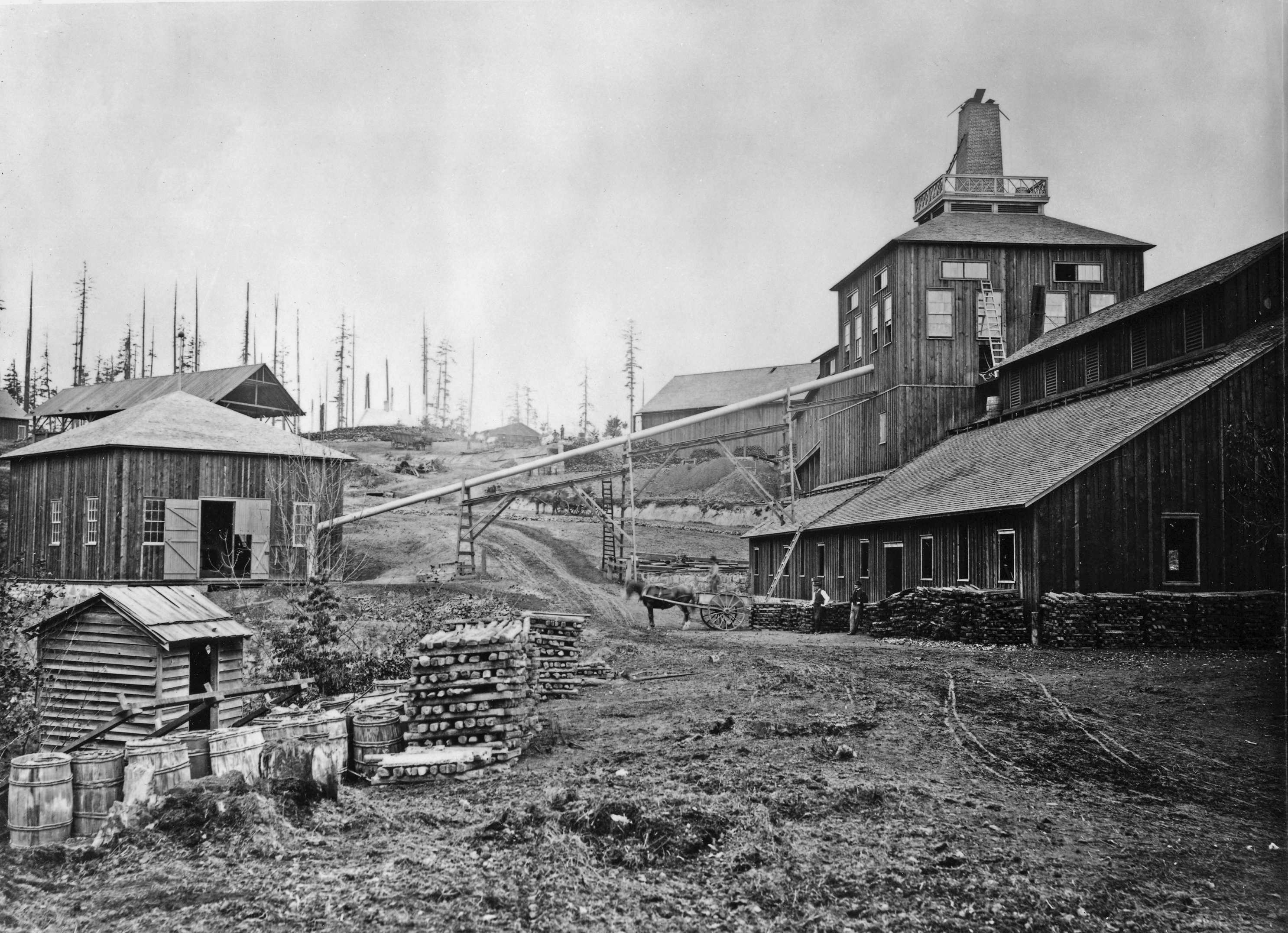 Photo by Carleton E. Watkins