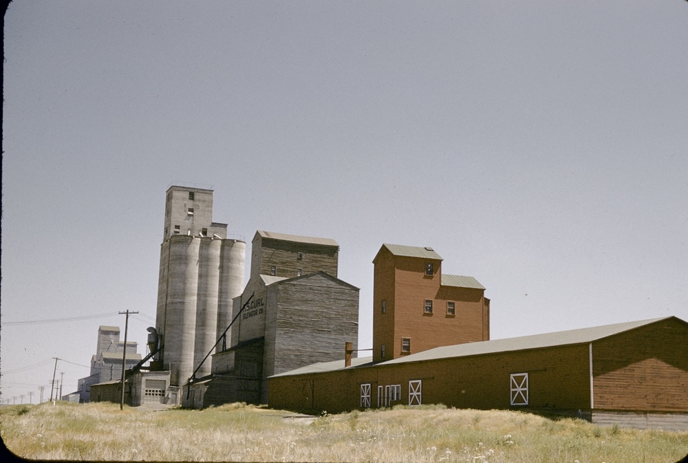 Grain elevators in Adams.