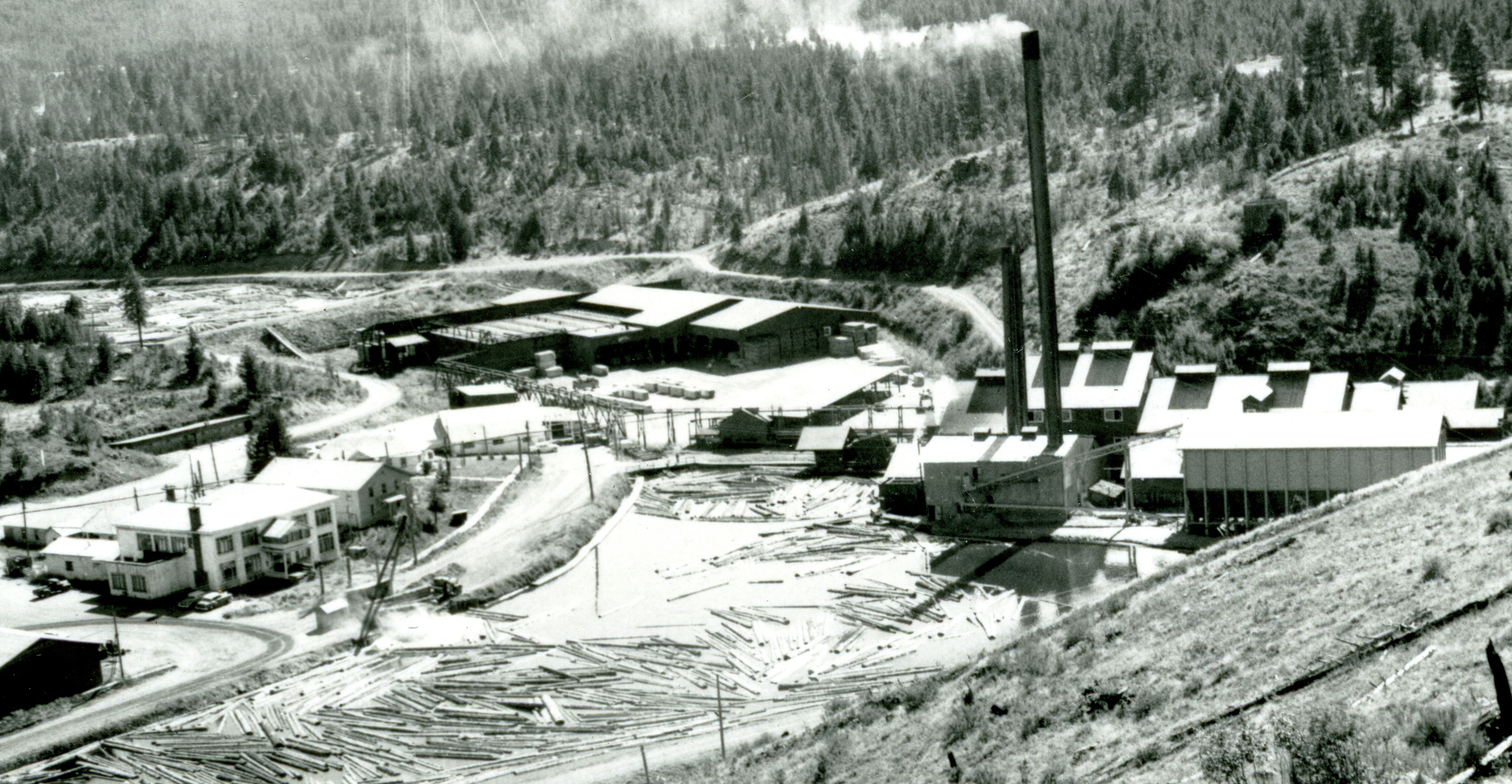 Bates Mill complex, view from the north, 1959.