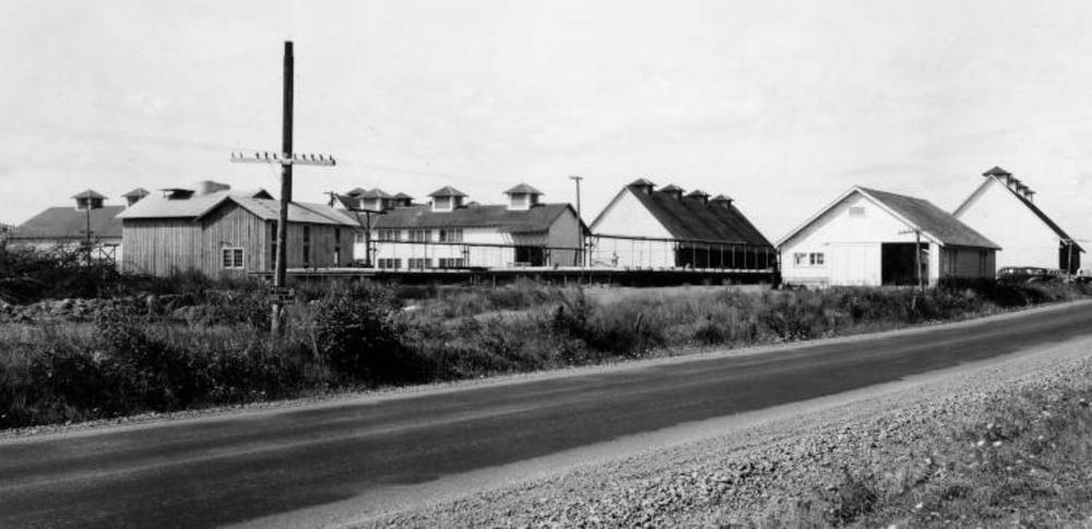 Benton County Flax Mill, Sept. 1943.