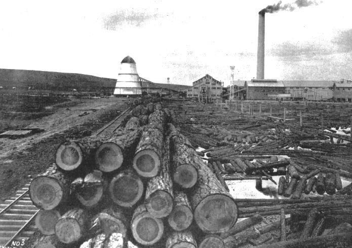 Hines Lumber Mill