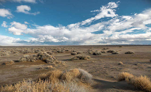 View of sand dunes.