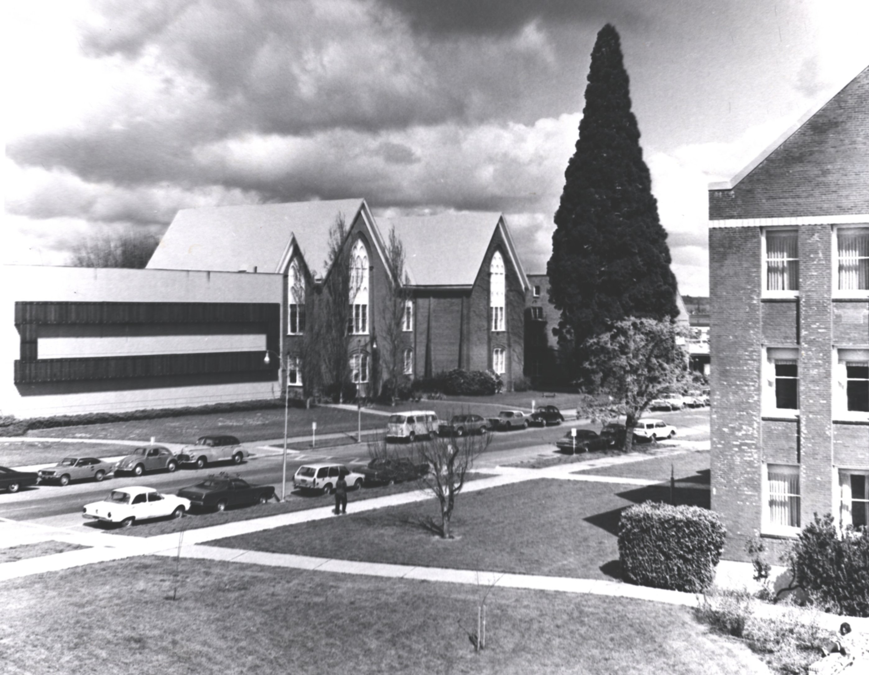 The Humanities and Social Science building replaced the fallen tower of Campbell Hall.   Note the sequioa at full height. 