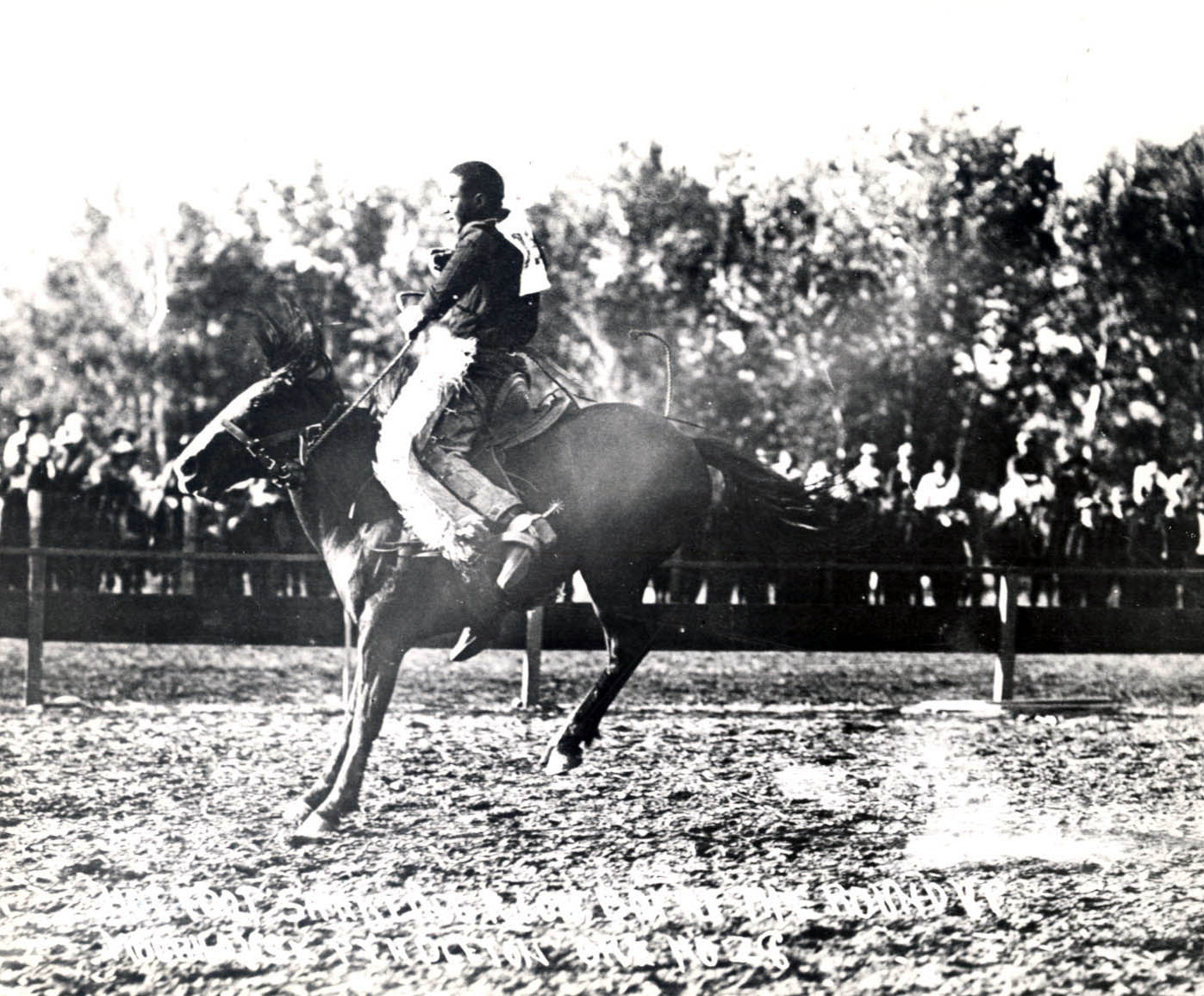 This image is likely George Fletcher. The photographer identified the horse, but not the rider, demonstrating one way black riders were often marginalized in the white-dominated sport.