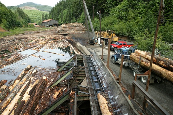 Unloading logs from trucks at Hull-Oakes Lumber Mill, Feb. 2011.