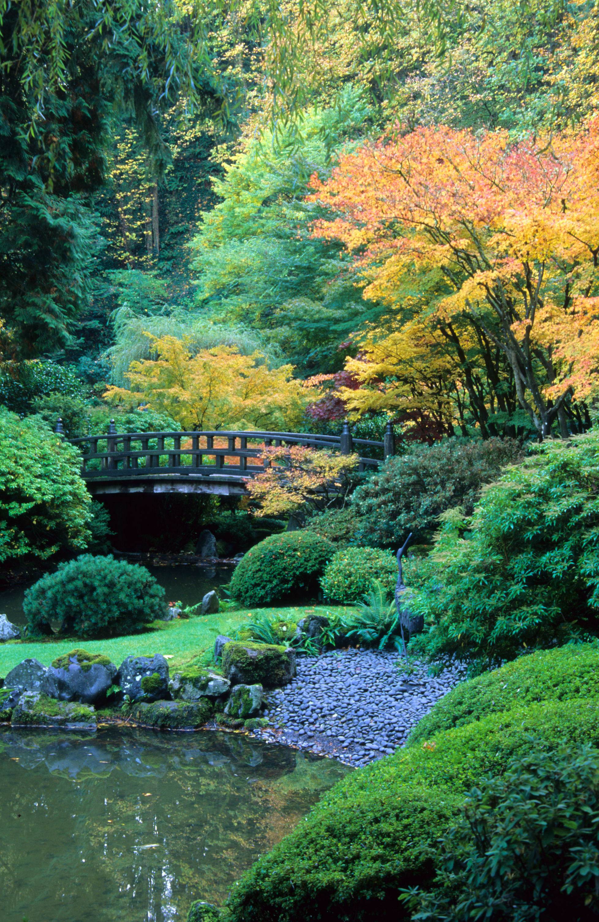 Portland Japanese Garden.