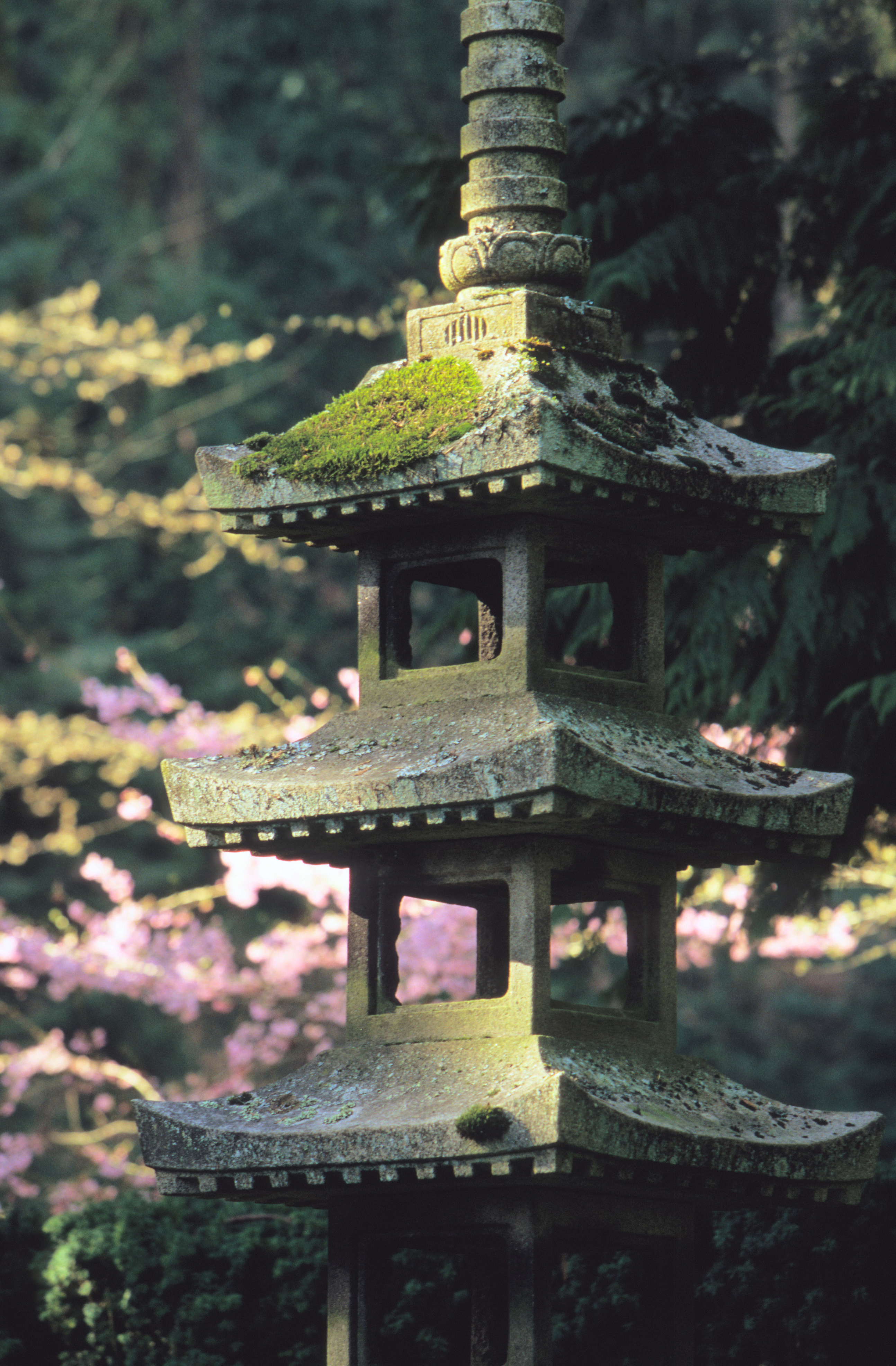 Portland Japanese Garden.