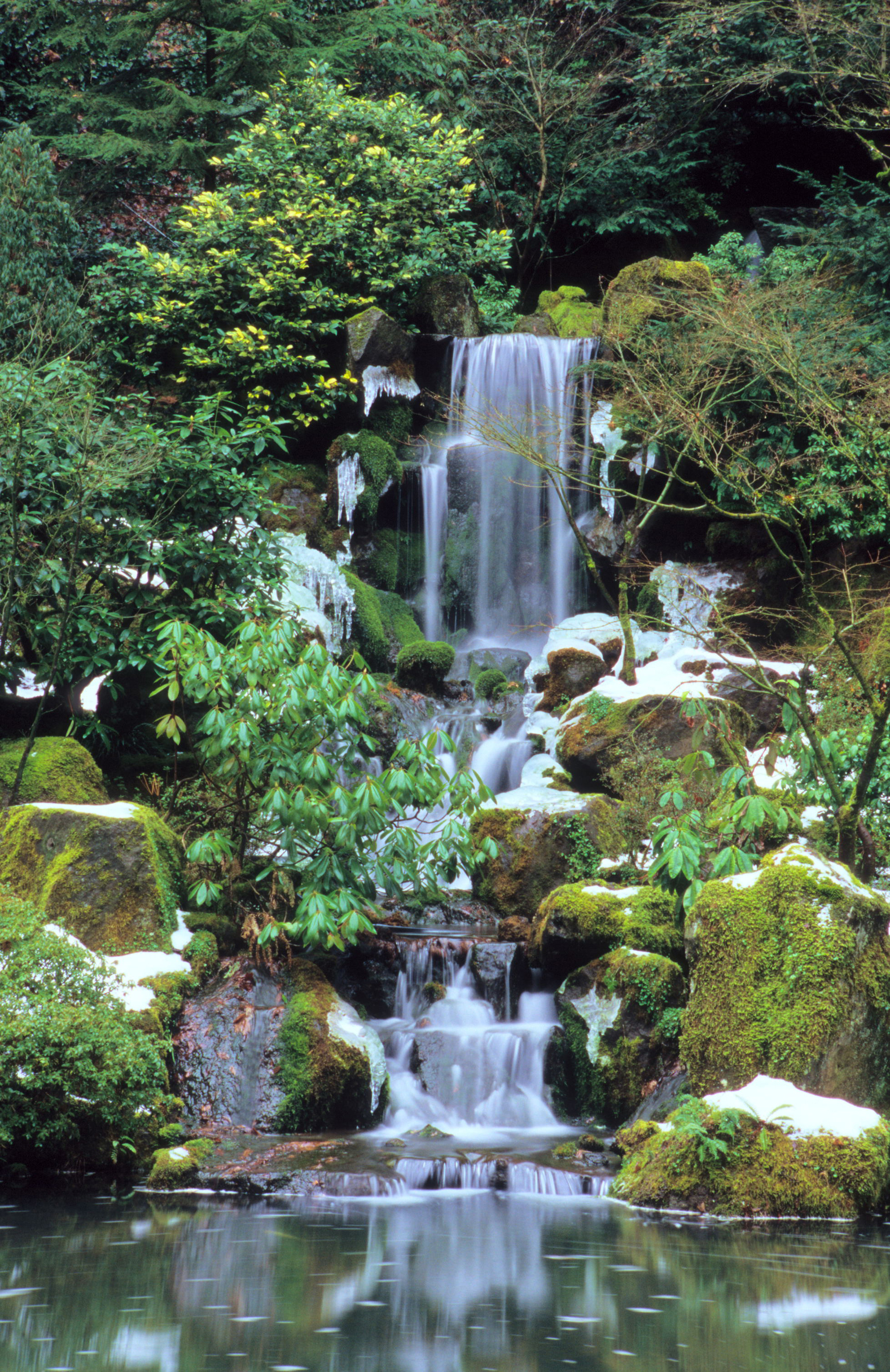 Heavenly Falls at Portland Japanese Garden.