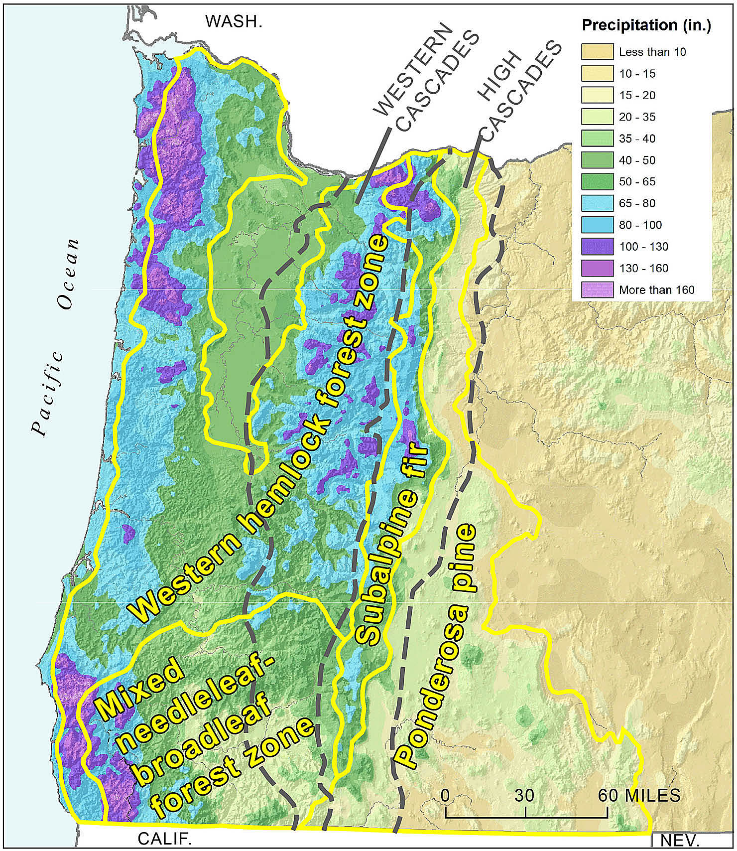 Map showing precipitation and characteristic vegetation zones for western Oregon forests. Gray dashed lines mark Cascade Range subprovince boundaries for Western Cascades and High Cascades, from figure 1. In Oregon, precipitation generally increases eastward into the Cascade Range, then diminishes abruptly east of the range crest. Vegetation zones after R. Frenkel and S Kolar as depicted in Atlas of Oregon (1st ed., 1970). A similar zone map published more recently as Ecoregions of Oregon by Thorson and others (2003).  Precipitation base map, created July 10, 2012.
