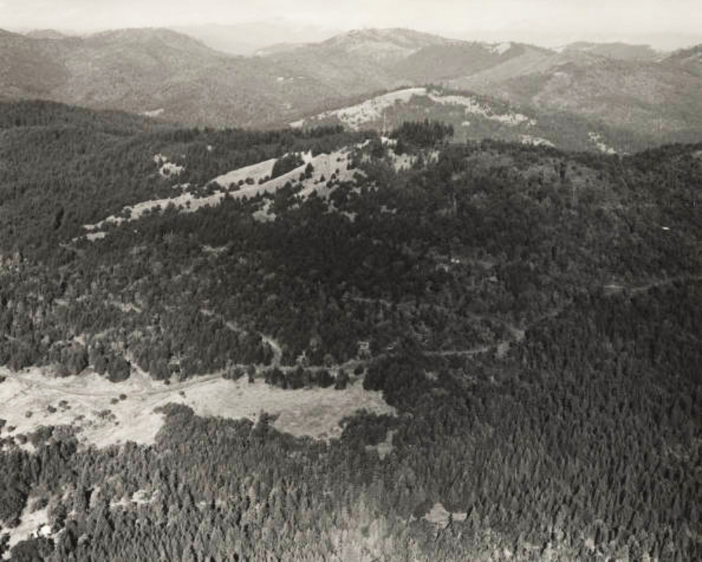 OSU School of Forestry's McDonald Research Forest, about 1981.