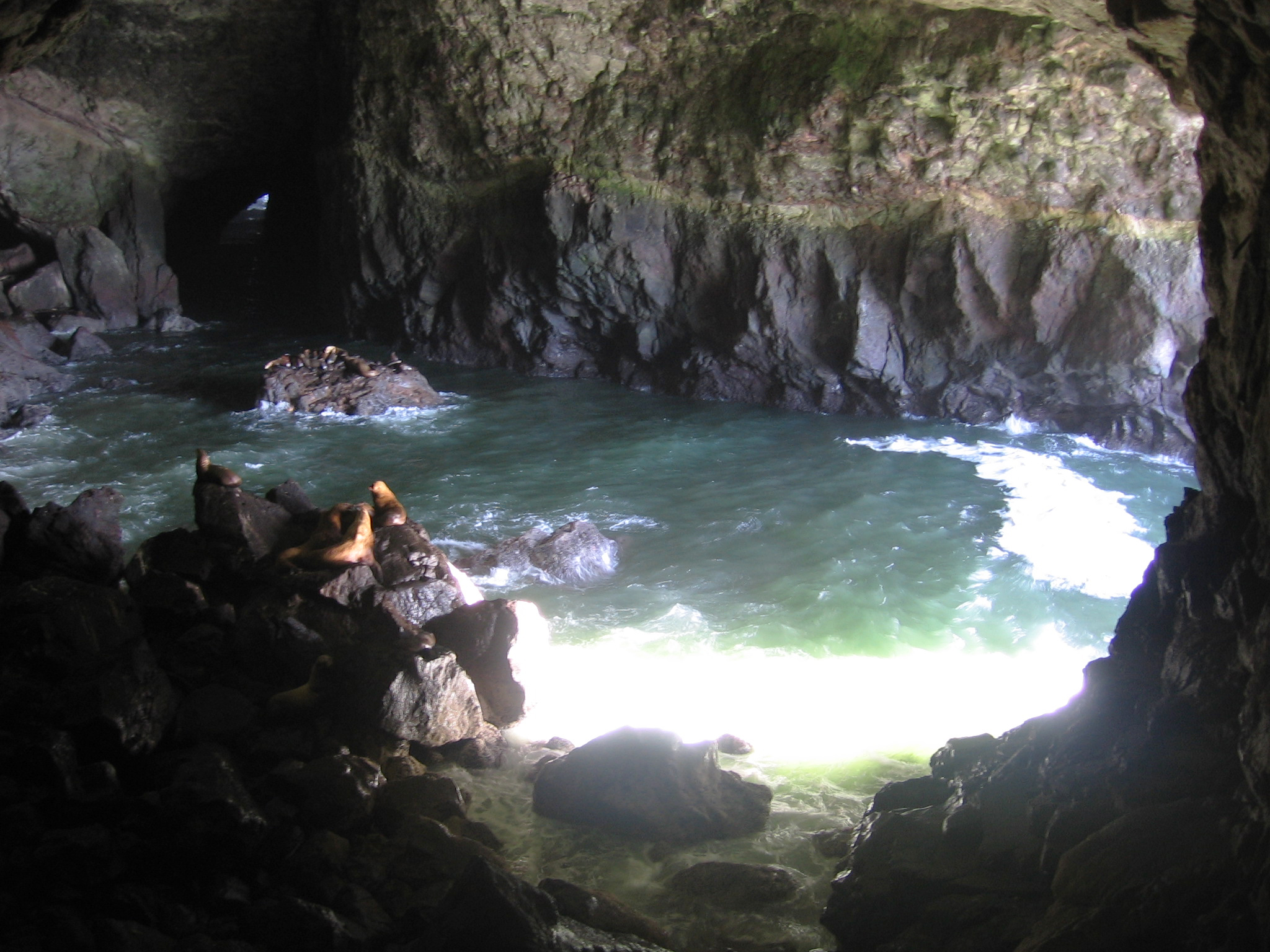 Sea Lion Caves, July 2011.