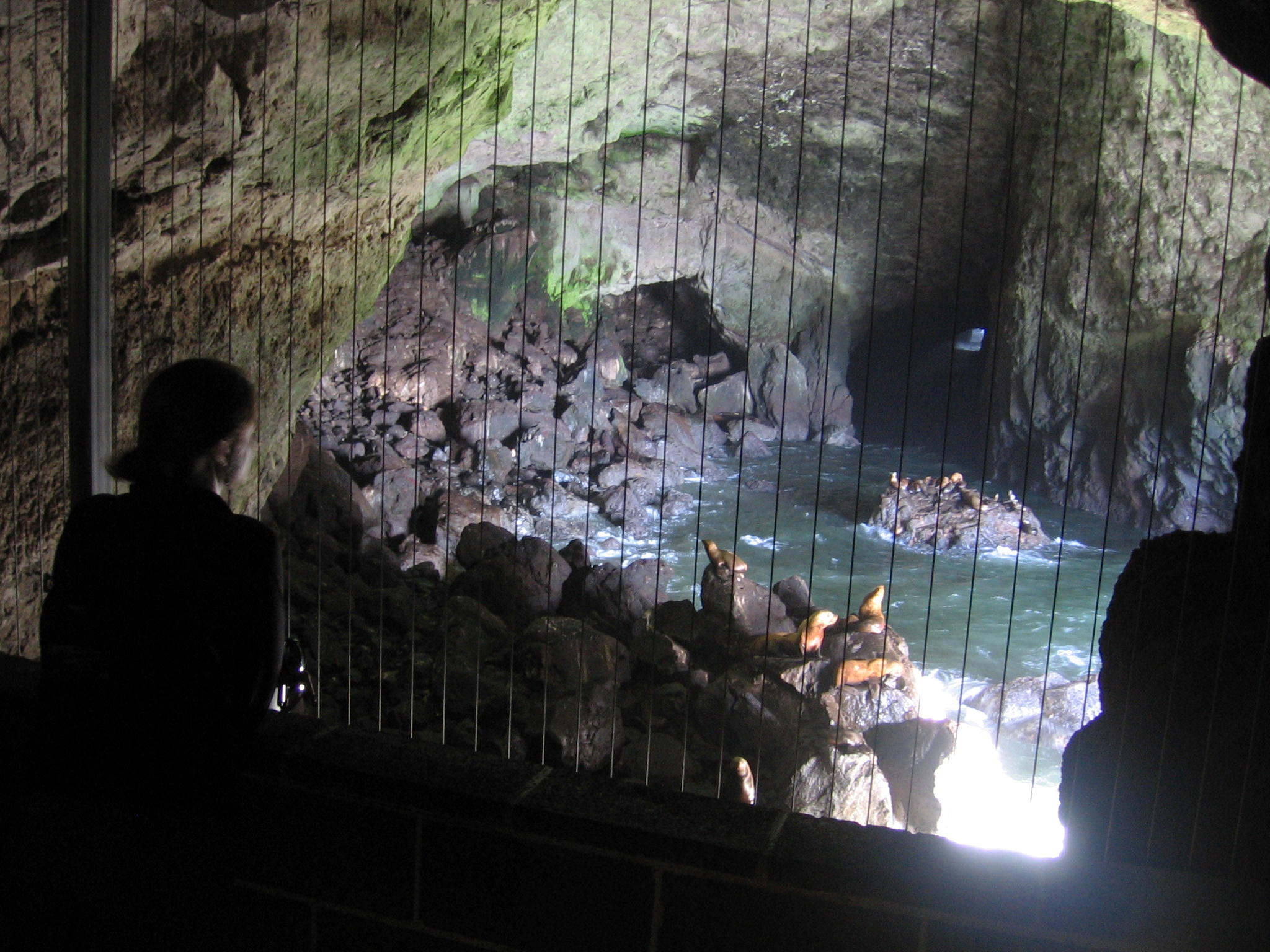 Sea Lion Caves, July 2011.