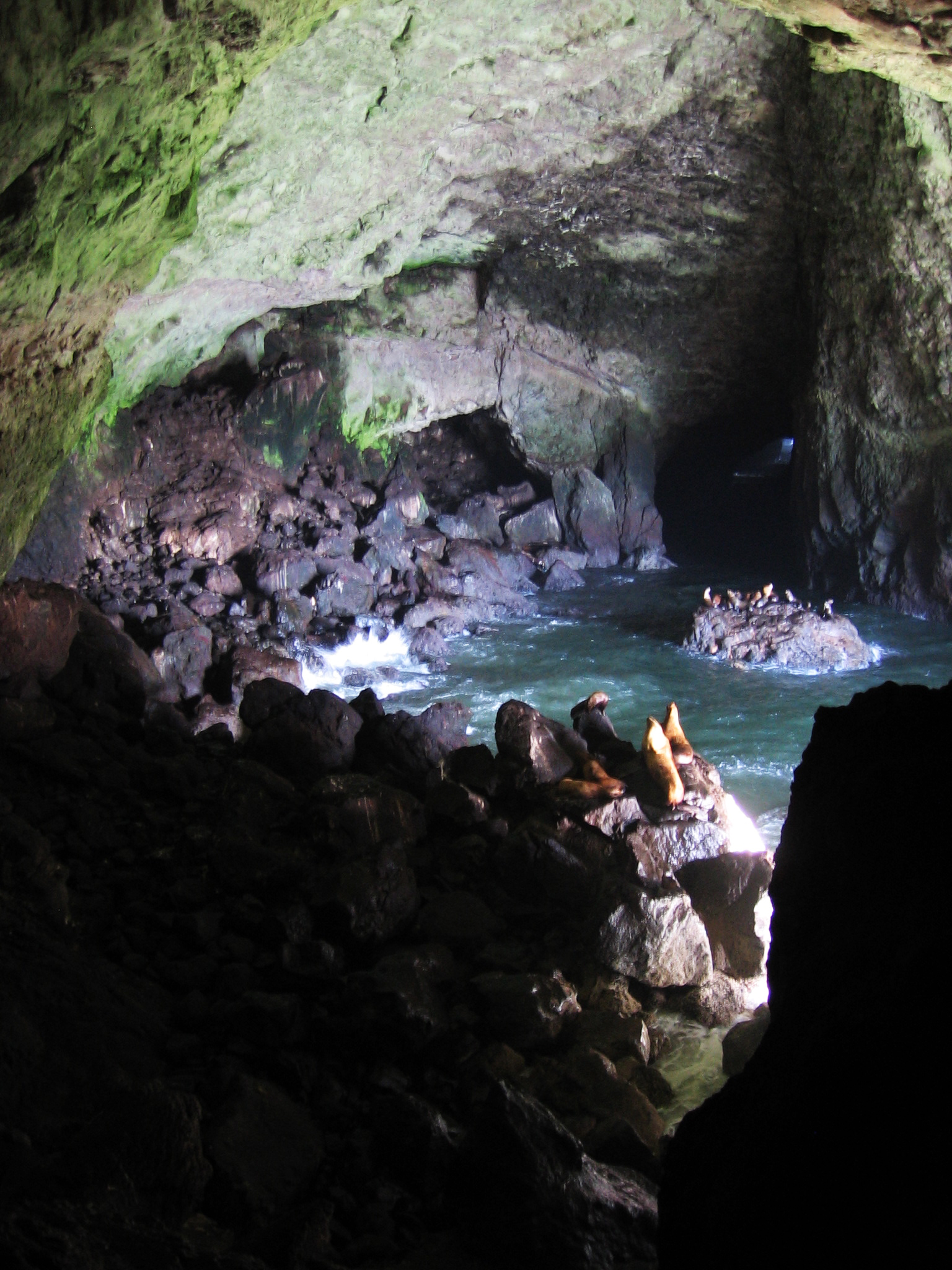 Sea Lion Caves, July 2011.