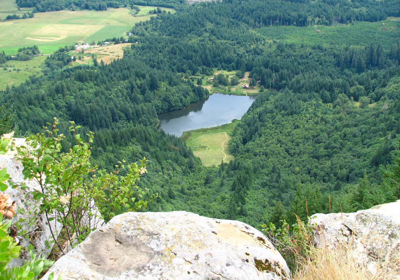Looking southwest at Boone's Lake from Brewster Rock.