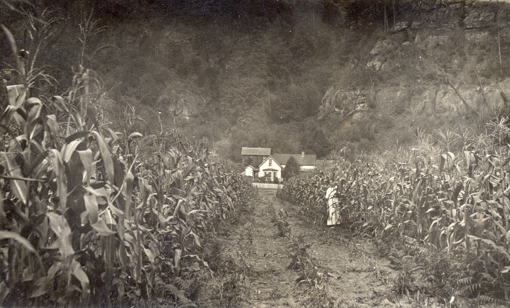 James, Daniel, and Nancy Belle (Harry) Laird property. Sitkum Post Office located in Laird house.