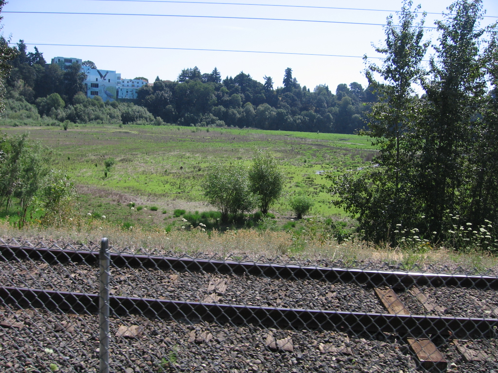 Oaks Bottom Wildlife Refuge along Springwater Corridor Trail, Portland, Aug. 21, 2011.