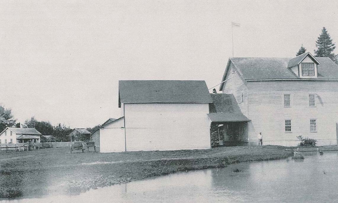 Thompsons Mill with Simmons' house background left, 1900.