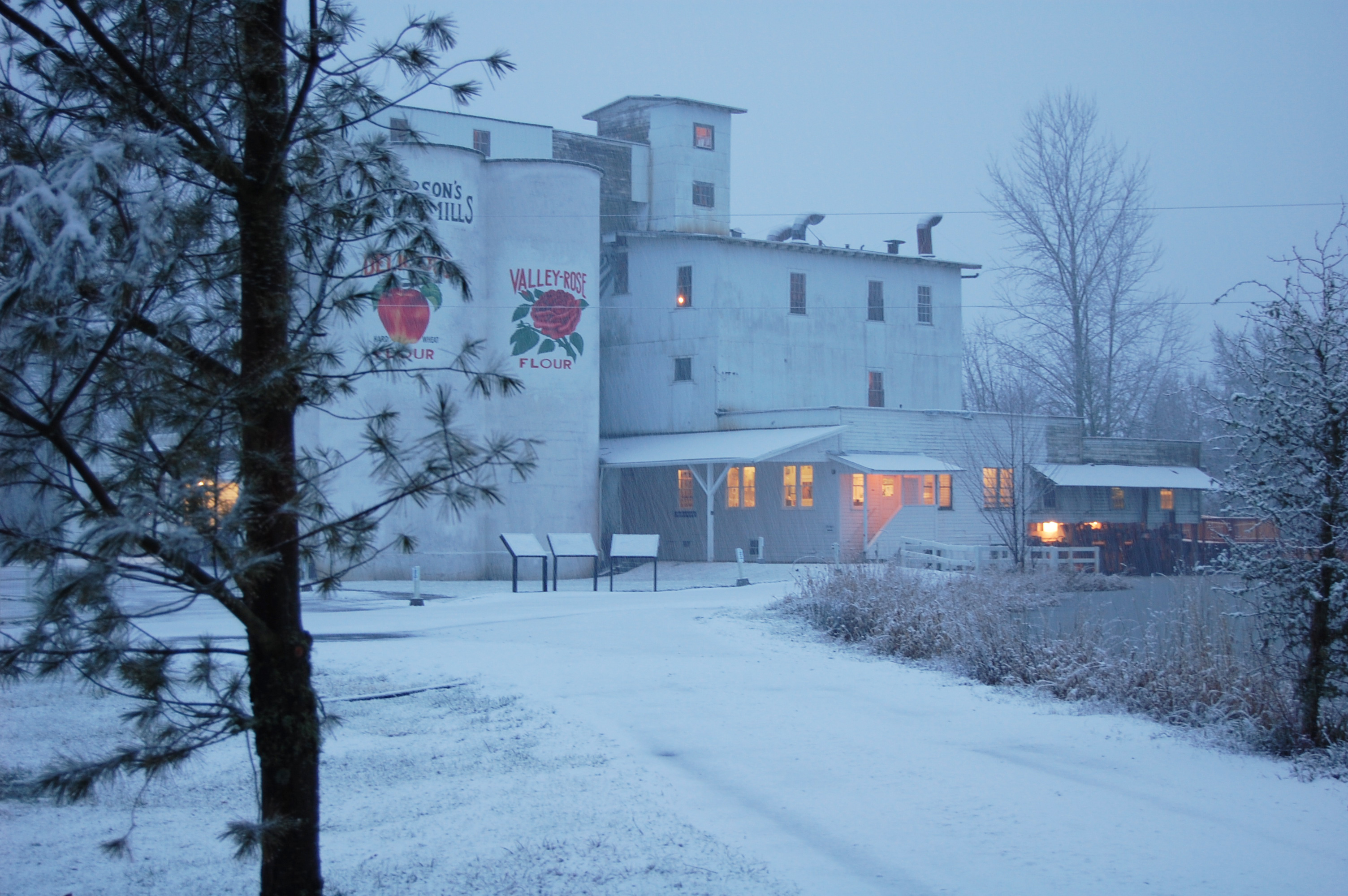 Thompson's Mills, Jan. 2009.