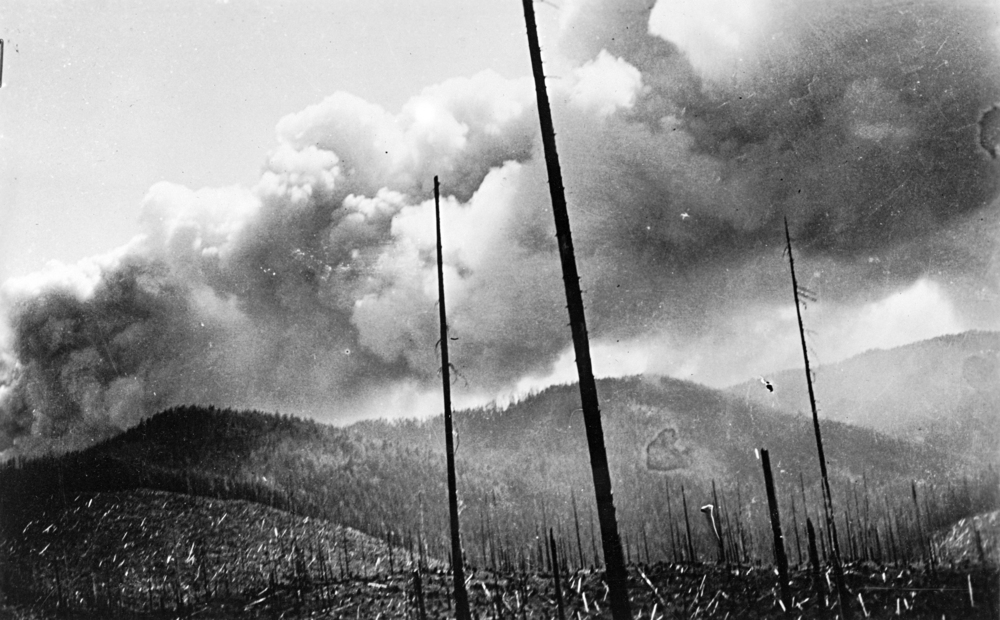 Tillamook Burn, 1933.
