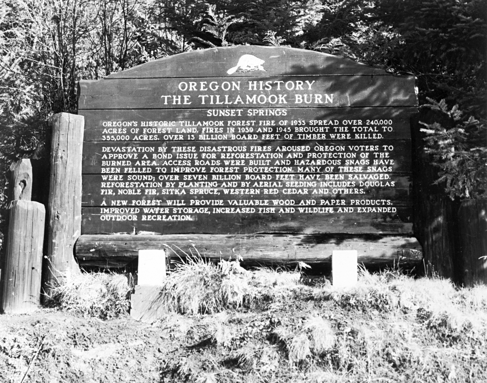 Tillamook Burn historical marker, on Highway 6.