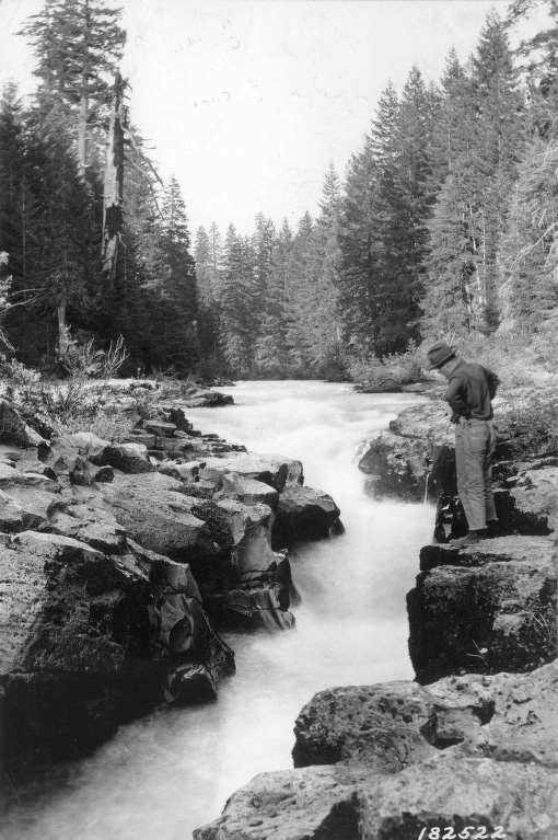 Union Creek in Rogue River Gorge. Item Number RRNF01i_Y279