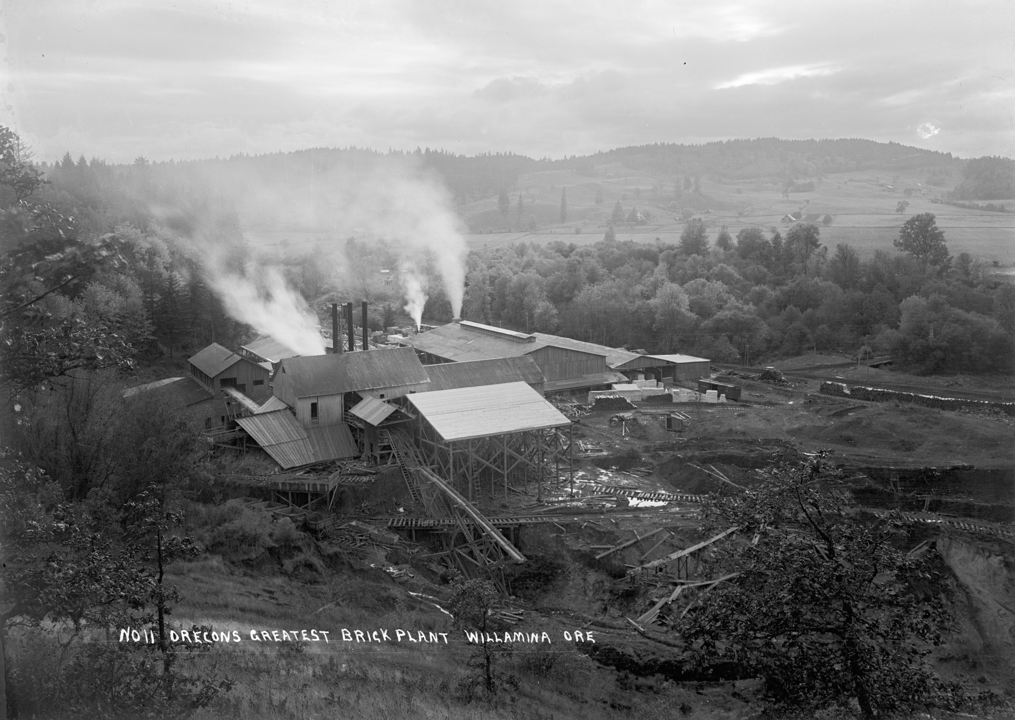 Pacific Face Brick Company, Willamina.