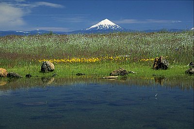 Mount McLoughlin