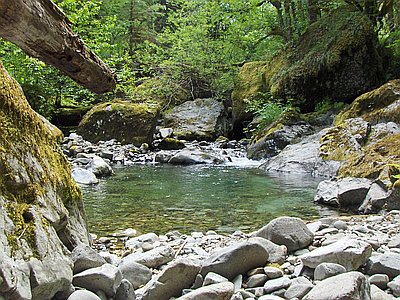 Salmon-Huckleberry Wilderness