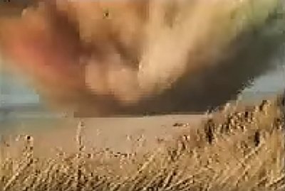 Florence Whale Explosion