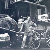 Labor