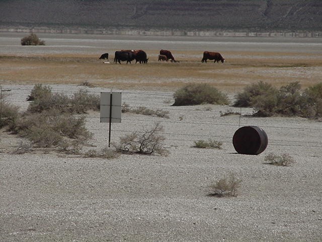 Alkali Lake Chemical Waste Disposal Site, May 2004.