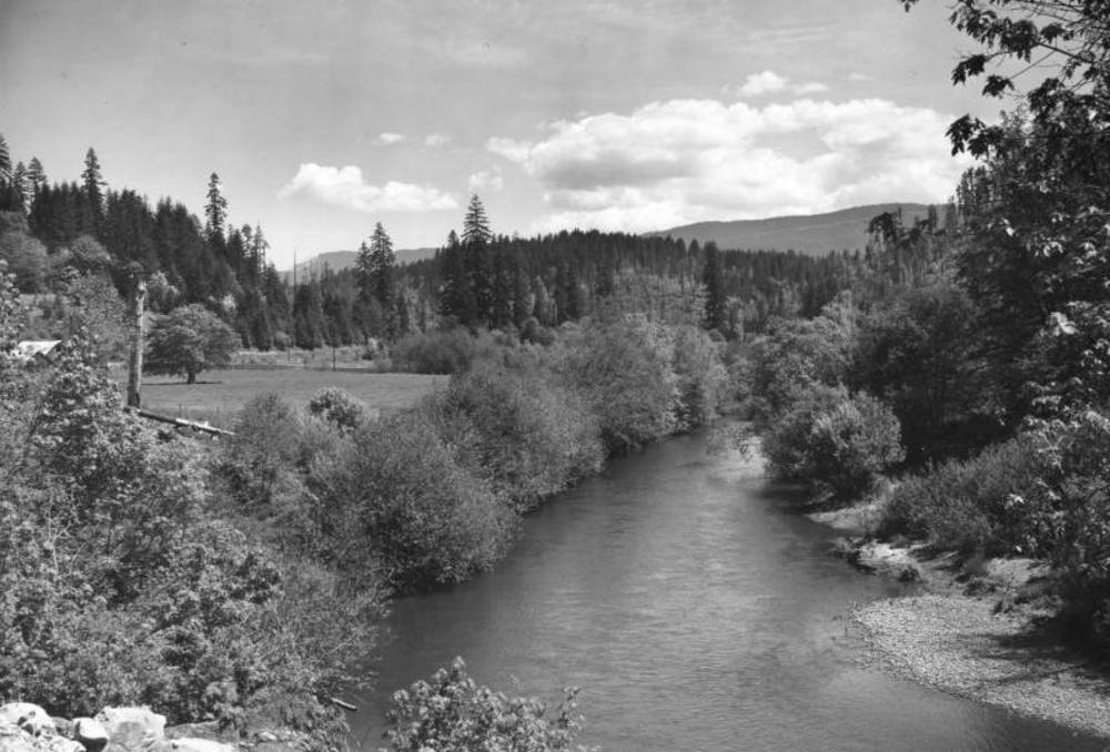 Alsea River, 1955.