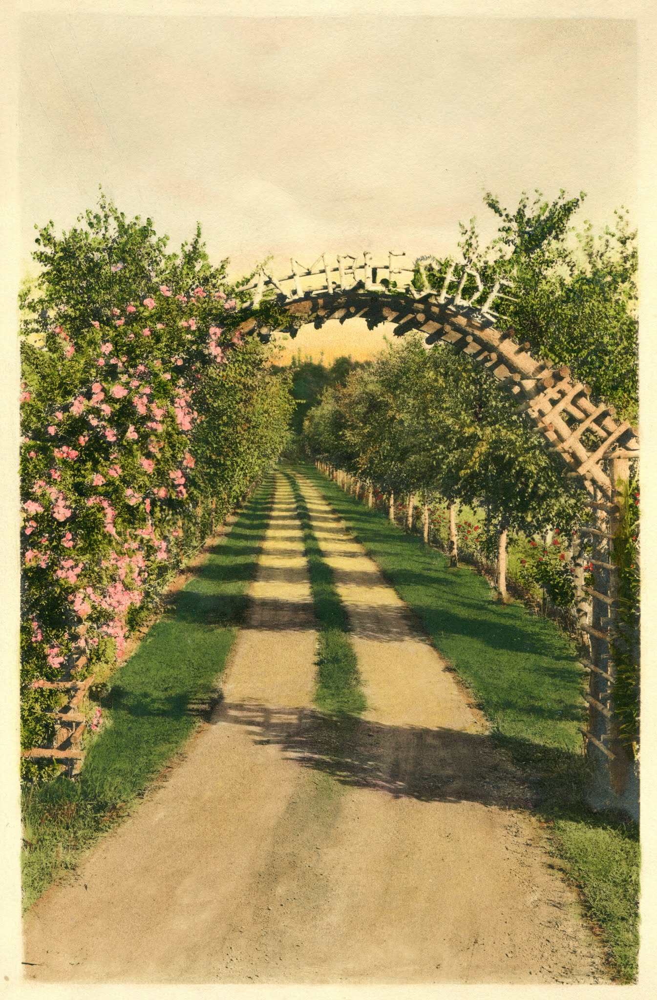 Hand-tinted photo is from the Rodgers family, original residents of Ambleside. Their cottage still stands.