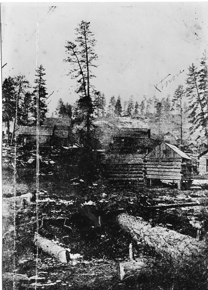 Auburn in 1861