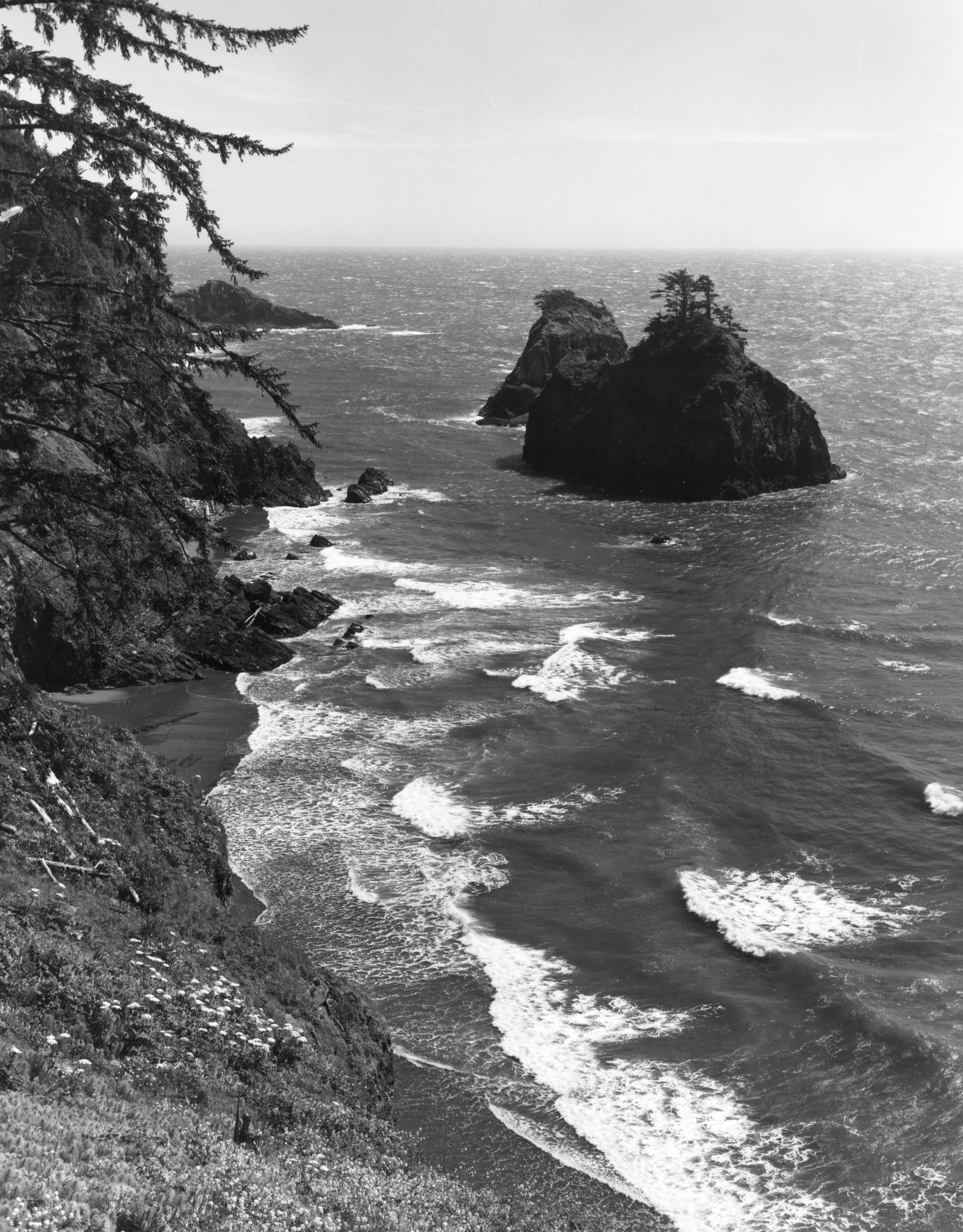 Coast at Boardman State Park near Brookings.