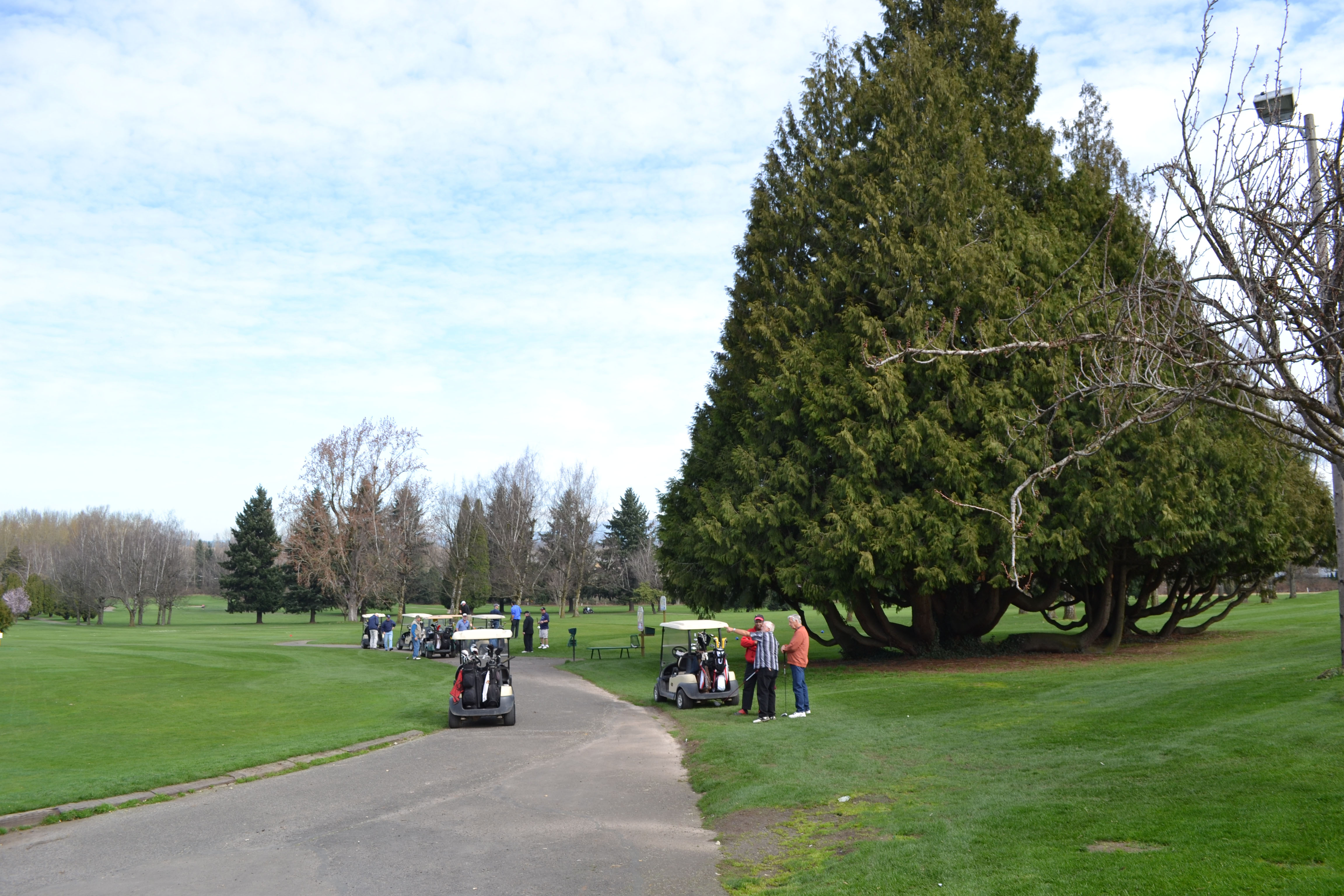 Colwood Golf Course, 2014.