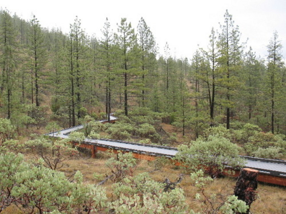 Raised portion of trail to summit of Eight Dollar Mountain, 2007.