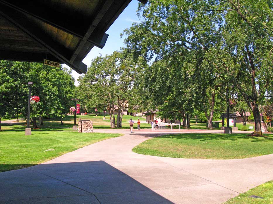 View from UCC Library, looking toward the center of campus