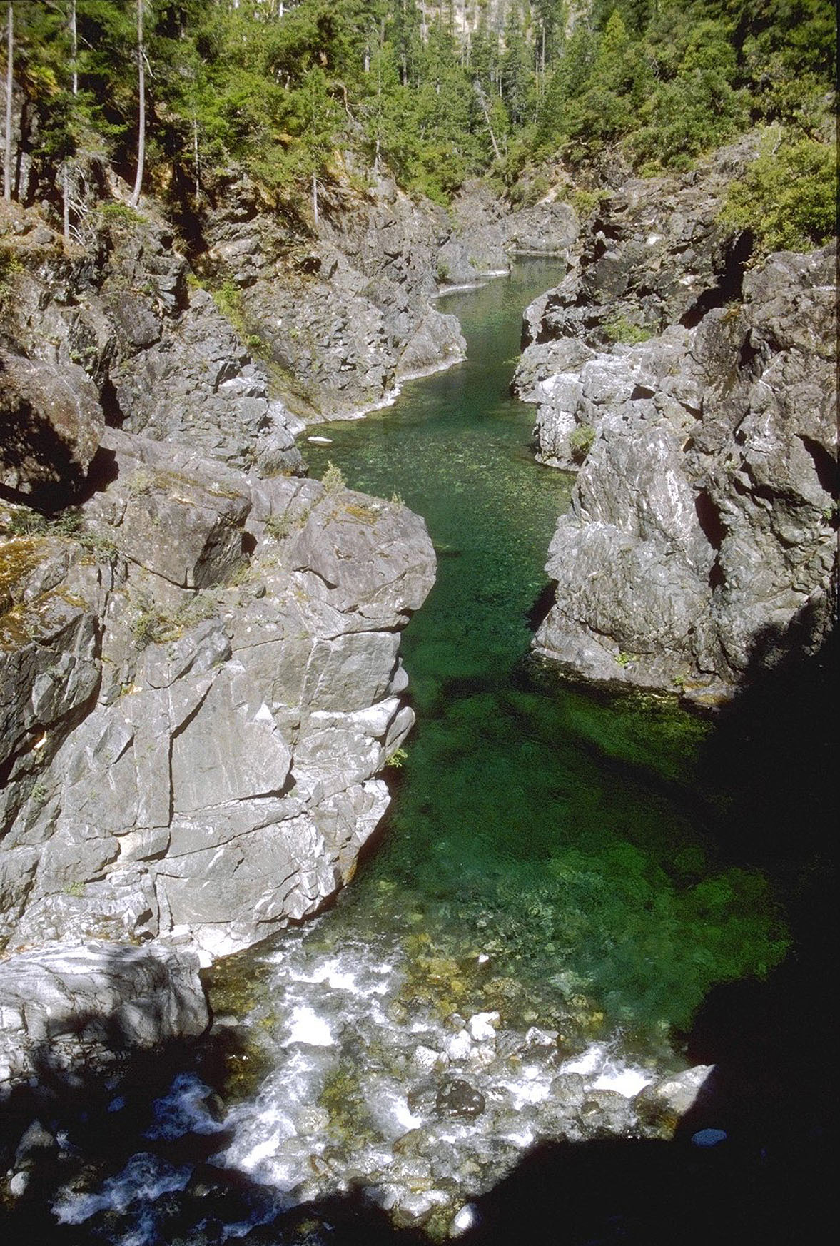 Chetco River between Carter and Babyfoot creeks.