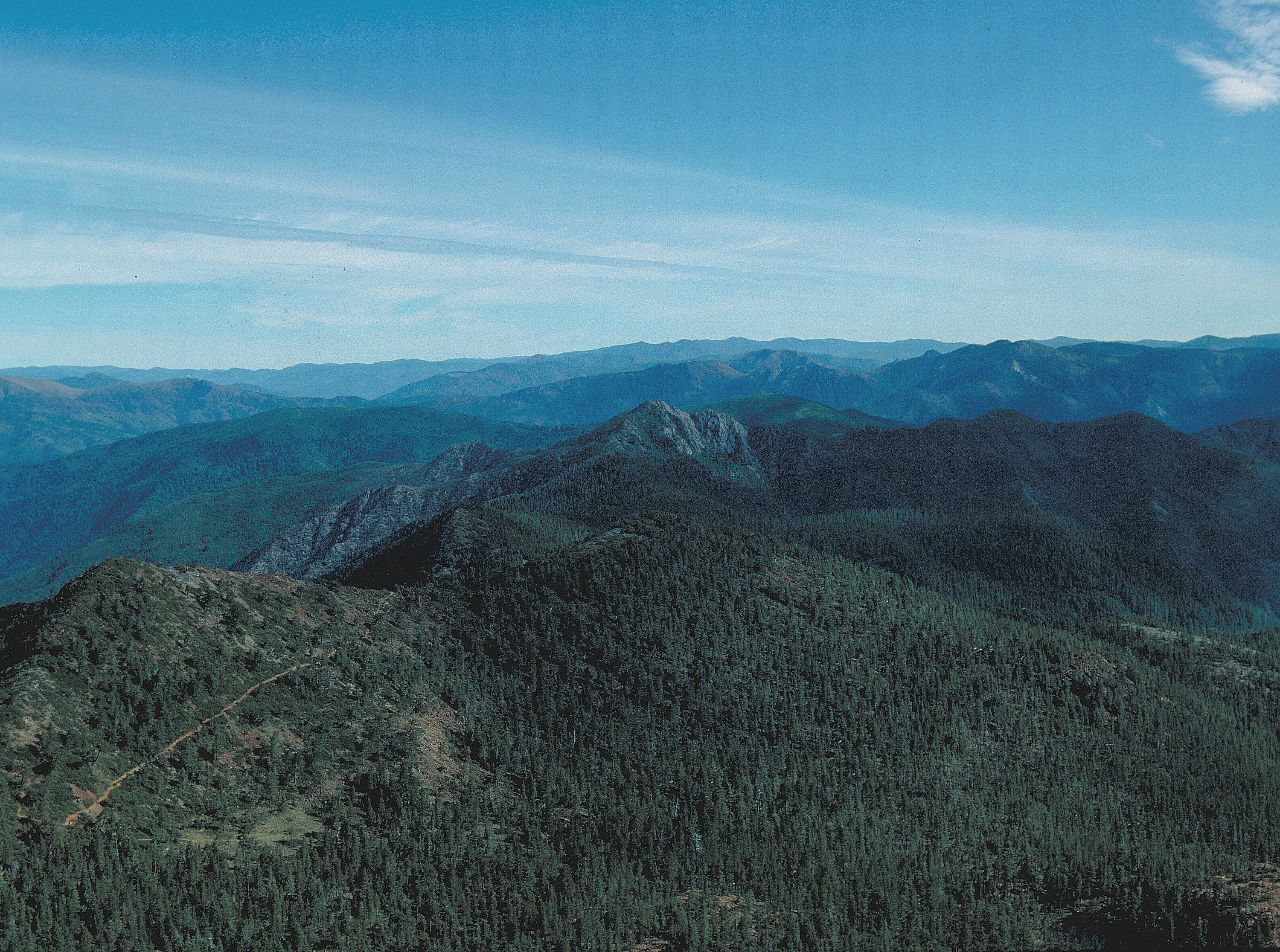 Kalmiopsis Wilderness.