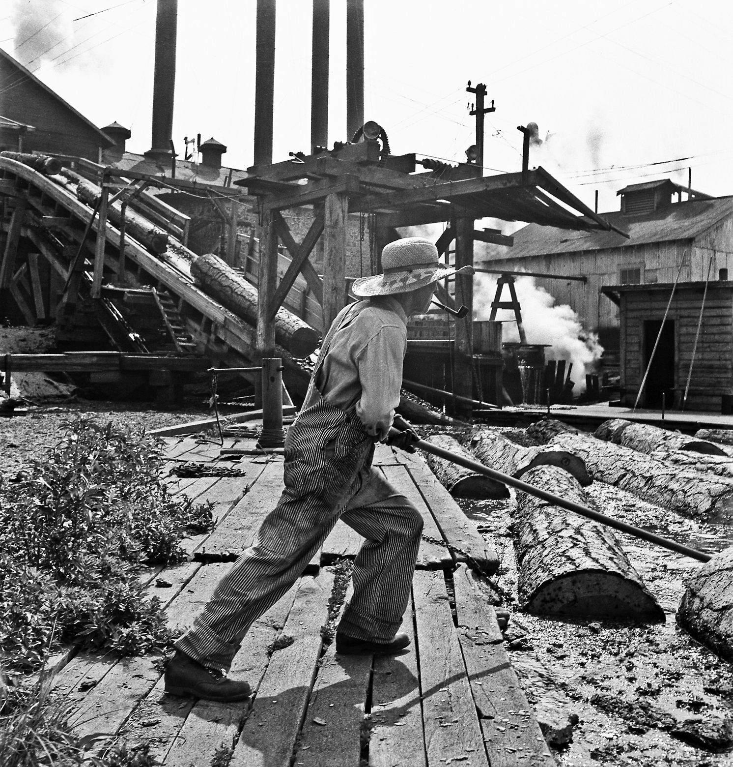A man guides logs from the mill pond to the chute, Pelican Bay Lumber Co.