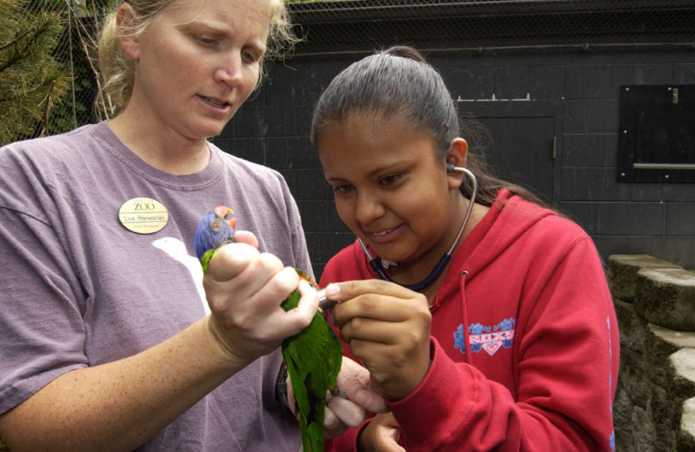 Veterinarian Dr. Lisa Harrenstien teaching conservation at Oregon Zoo.
