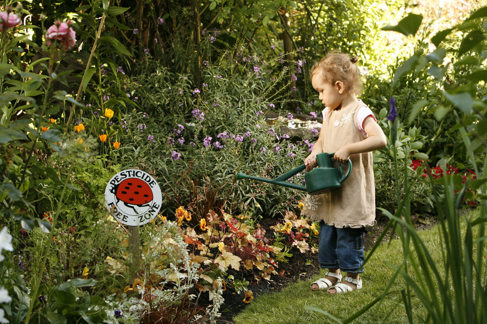Metro's natural gardening programs are part of the toxics reduction iniative.