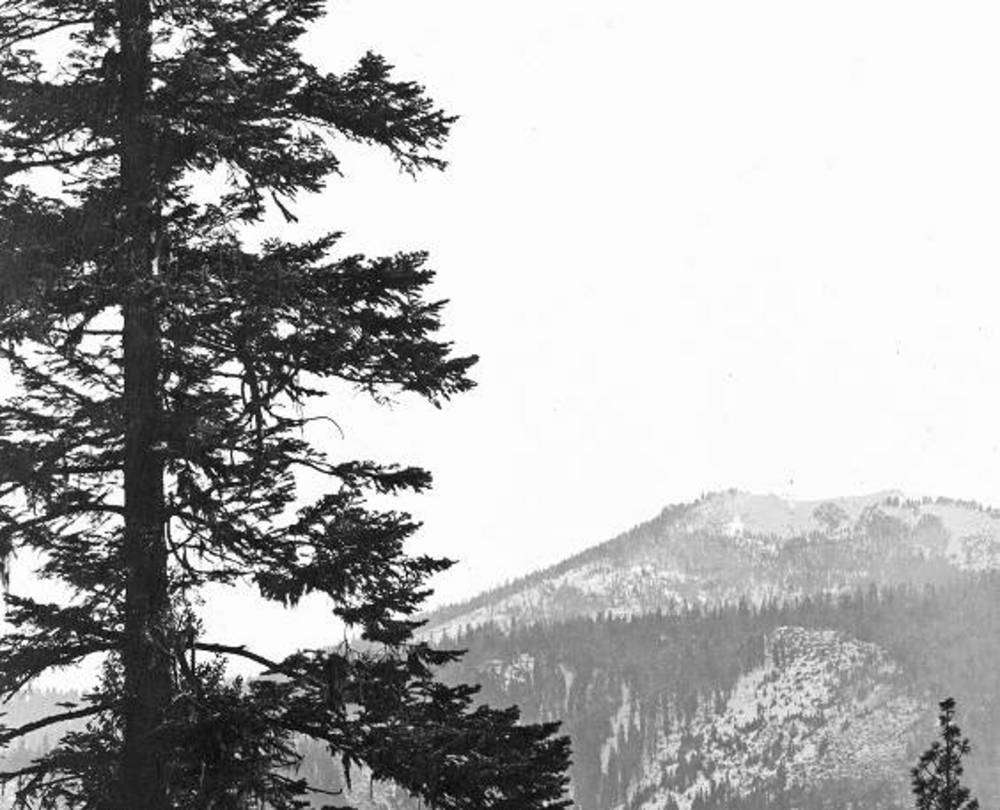 View of Mt. Ashland from the city of Ashland, 1915.