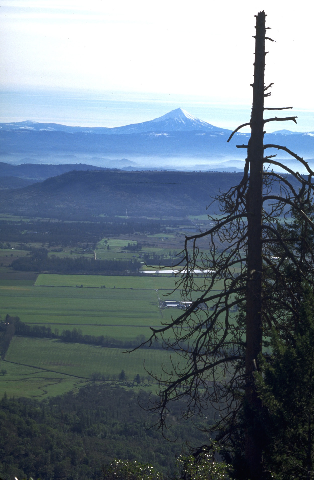 Upper Table Rock and Mount Mcloughlin in background.