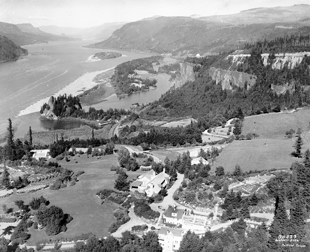 Menucha from above