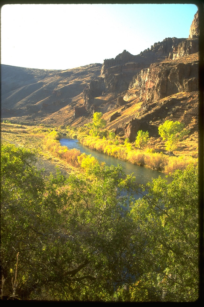 National Wild and Scenic Rivers in Oregon (essay)