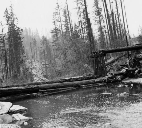 Devils Club Creek, tributary of the Smith River, after Oxbow Fire, late Aug. 1966.