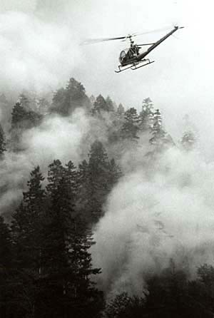 helicopter over Oxbow fire in Lane County, Aug 1966.
