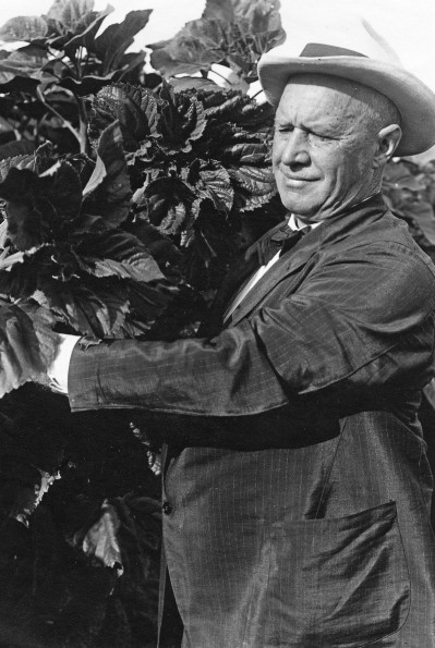 Governor Walter M. Pierce, 1925.